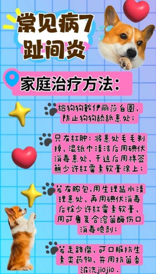 狗狗脚趾炎初期症状，（狗狗脚趾炎初期症状图片）