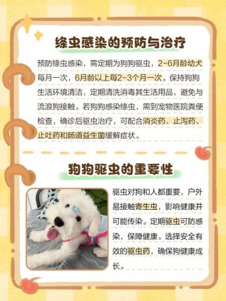 狗狗拉出虫子怎么办？狗狗拉出虫子怎么办视频（最新）