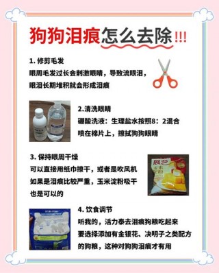 小狗狗有泪痕怎么办？小狗仔有泪痕（最新）