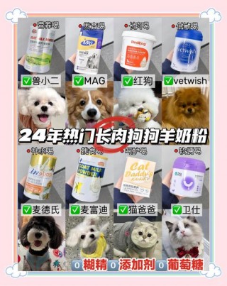 狗狗能喝牛奶粉吗？狗狗可以喝牛奶粉吗（最新）