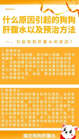 狗狗腹部积水症状，（狗狗腹部积水症状图片）