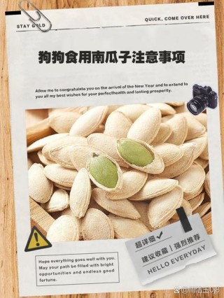 狗狗可以吃南瓜子吗？狗狗能吃南瓜子吗?（最新）
