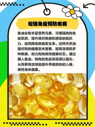 狗狗可以吃人吃的鱼油吗，（狗狗可以吃人吃的鱼油吗?）