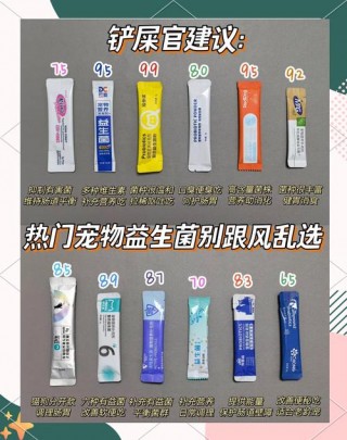 狗狗吃什么益生菌，（狗狗益生菌排名第一名）