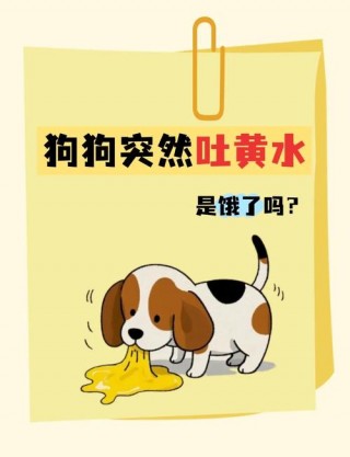 狗狗能吃黄油吗？狗狗能吃黄油嘛（最新）
