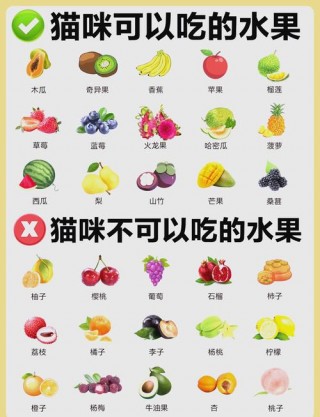 猫咪可以吃榴莲吗？猫咪吃榴莲吗会怎么样（最新）