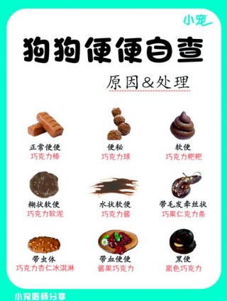 怎么促进狗狗排便，（怎么促进狗狗排便快）