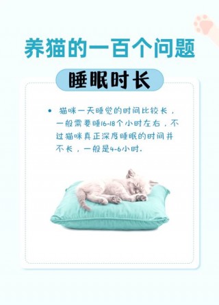 小猫咪一天睡多长时间？小猫咪一天睡多少小时（最新）