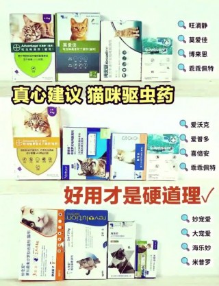 猫咪体外驱虫后的反应？猫咪体外驱完虫有什么反应（最新）