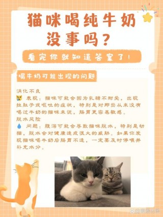 小猫咪可以喝纯牛奶吗，小猫咪可以喝纯牛奶吗?？