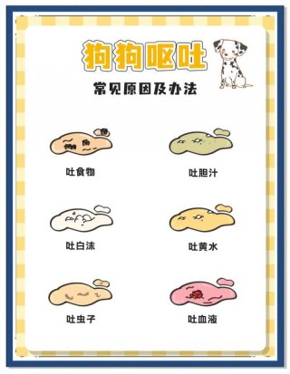 狗狗出现呕吐怎么办，（狗狗出现呕吐怎么办吃什么药）