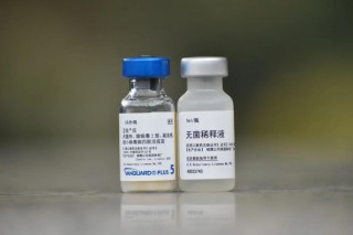 怎么预防狗狗得细小和犬瘟，（怎么预防狗狗得细小和犬瘟的症状）