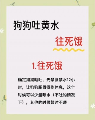小狗狗吐黄水怎么回事，小狗吐黄水怎么治疗？