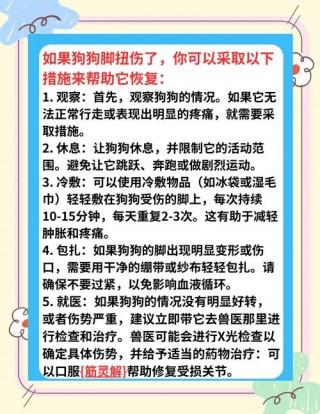 狗狗脚扭伤了怎么办，狗的脚扭伤了 自己会好吗？