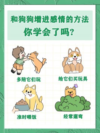怎么跟狗狗培养感情，（怎么跟狗狗快速增进感情）