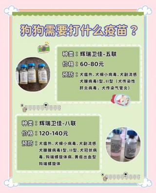 狗狗多大能打疫苗，狗狗多大可以打疫苗?？