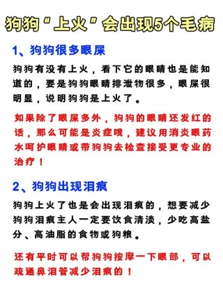狗狗上火的表现，（狗狗上火是什么样子）