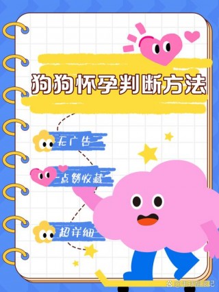 如何知道狗狗怀孕了？如何知道狗狗怀孕了没有（最新）