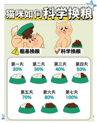 猫咪怎么换猫粮？猫咪换猫粮拉稀多久会自愈吗（最新）