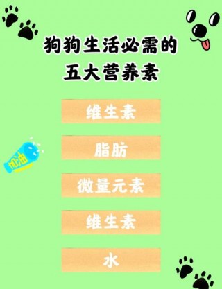 狗狗吃微量元素有用吗，（狗狗吃微量元素有什么作用）