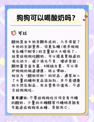 狗狗能喝什么酸奶，（狗子喝什么酸奶）