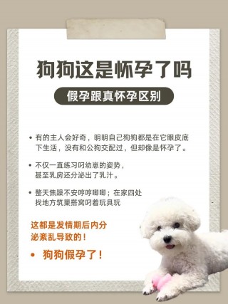 狗狗怀孕多久有奶水，（狗狗怀孕多久有奶水出来）