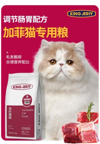 加菲猫猫粮哪个牌子好？加菲猫粮牌子推荐（最新）