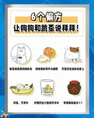 怎样去除狗狗身上的跳蚤？怎样去除狗狗身上的跳蚤小妙招（最新）