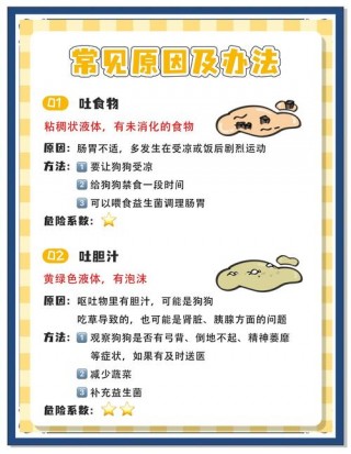 狗狗呕吐怎么治疗，小狗呕吐是什么原因怎么治疗？