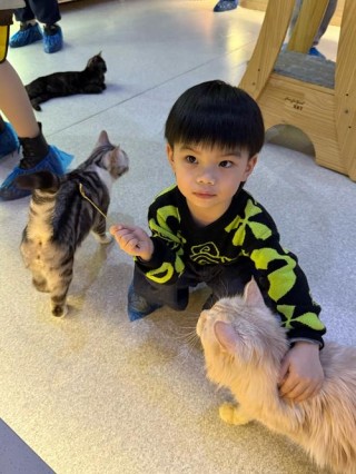 猫咪为什么喜欢小孩，猫咪为什么喜欢小孩子的被铺？