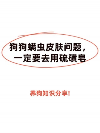 狗狗可以用硫磺皂洗澡吗，（狗能用硫磺皂洗吗）