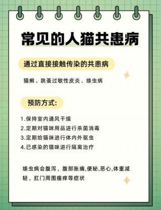 猫咪为什么要驱虫，猫咪为什么驱虫还有白色的虫子呢？