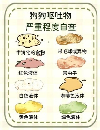 狗狗打完疫苗吐了怎么回事？狗子打完疫苗吐了有事吗?（最新）
