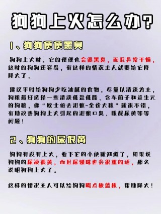 狗狗吃狗粮会上火吗，狗狗吃狗粮会上火吗?？