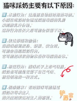 猫咪都会踩奶吗？猫会踩奶啥意思（最新）