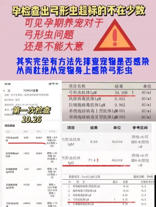 狗狗弓形虫检查多少钱？狗狗弓形虫体检多少钱（最新）