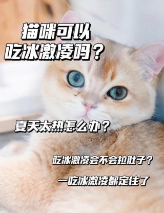 猫咪可以吃雪糕吗，（猫能吃雪糕?）