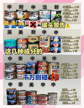 狗狗吃什么蔬菜比较好，（狗狗吃啥蔬菜）