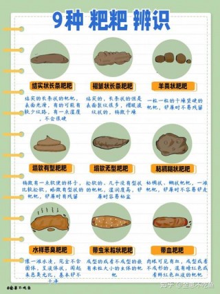 猫咪吃罐头软便，（猫咪吃罐头有点软便）