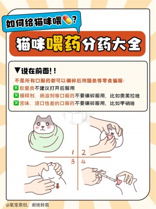 如何喂猫咪吃药？如何喂猫吃药手法（最新）