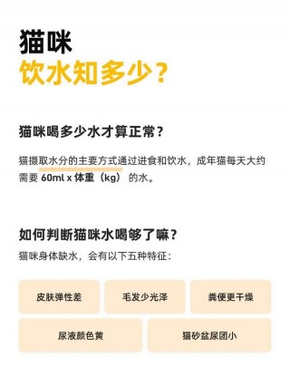 猫咪每天要喝多少水，猫咪每天要喝多少水合适？