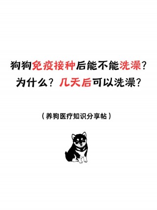 狗狗打针几天可以洗澡，狗狗打针后多久能洗澡？