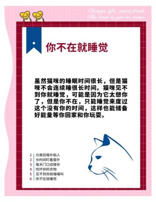 猫咪想念主人的表现，（猫咪想念你的表现）