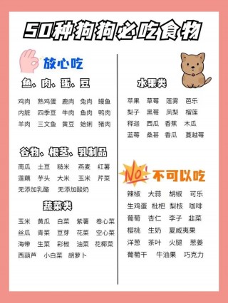 怀孕狗狗不能吃什么，怀孕狗狗不能吃什么肉？