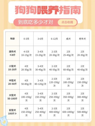 狗狗每顿吃多少狗粮？狗狗一顿吃几颗狗粮（最新）
