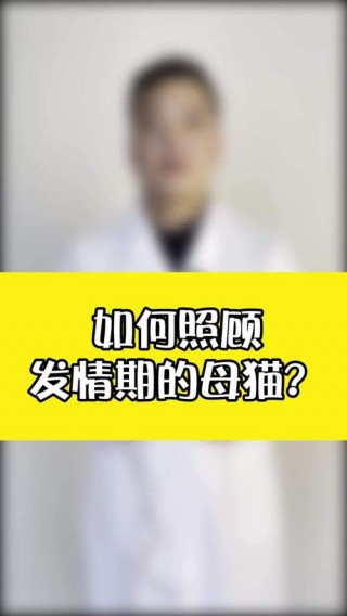 小猫咪发情怎么办，小猫发情期有什么症状？