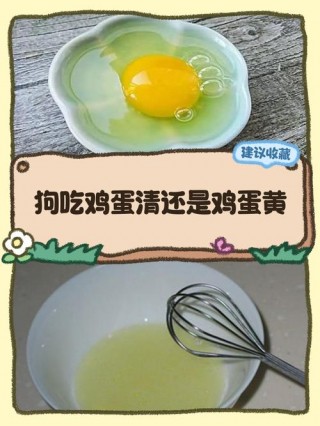 狗狗可以吃煮鸡蛋吗，（狗狗可以吃煮鸡蛋吗?）