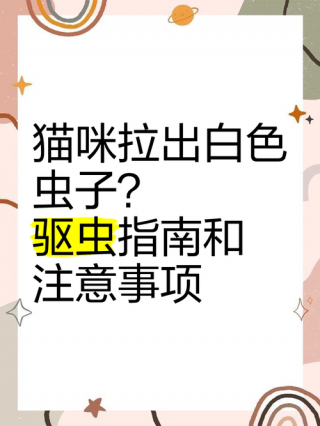 猫咪拉虫子怎么办？猫咪拉屎拉虫子（最新）