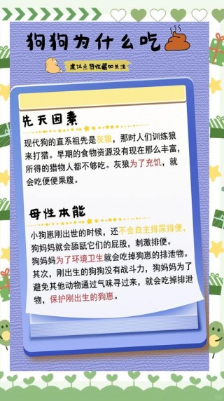 狗狗吃自己的屎怎么办，（狗狗吃自己的屎怎么回事）