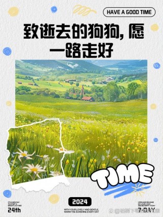 怎么安慰失去狗狗的人？怎么安慰失去狗宝宝的狗妈（最新）